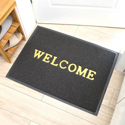 China Factory Made Washable Home Entrance Floor Mat Holiday Doormat Custom Welcome Indoor Foot Mat for sale