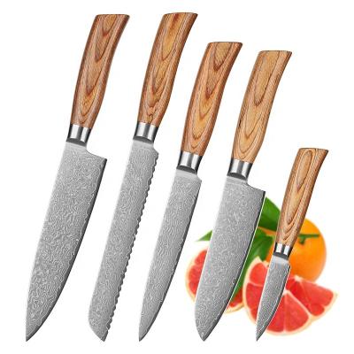 China Stocked super sharp steel vg10 kitchen knife set 67 layers high carbon Damascus wood pakka knife set for sale