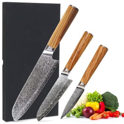 China Stocked Wooden Handle Kitchen Knives Set Multifunction Cooking Steel Knife Damascus Chef Knife Set for sale