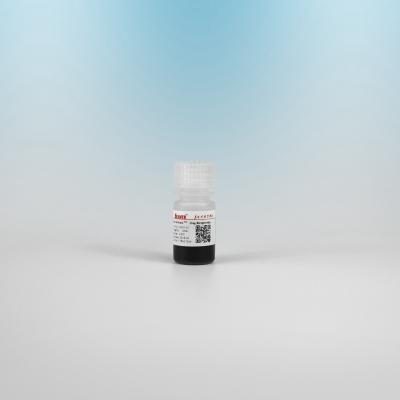 Китай 2.8 μM BeaverBeads Streptavidin For Immunoassay And Capture продается