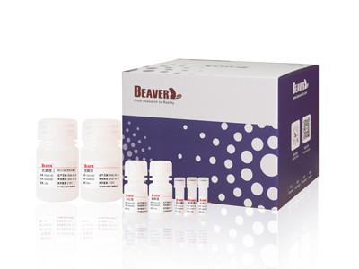 China 100 Rxns BeaverBeads Animal Viral DNA RNA Kit For Automated And High Throughput for sale