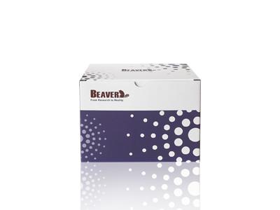 China BeaverBeads Blood RNA Extraction Kit With High Compatibility for sale