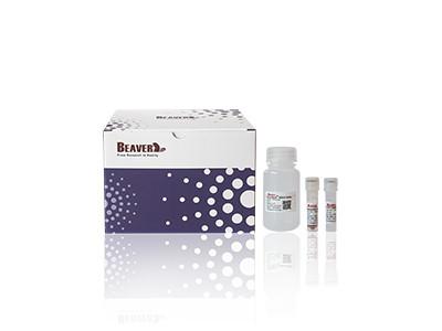 China BeaverBeads Plant DNA Kit For Fast And Efficient Extraction In Scientific Research for sale