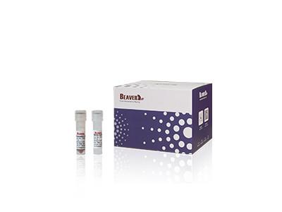 China 20 Rxns BeaverBeads Animal Viral DNA RNA Kit For Scientific Research for sale