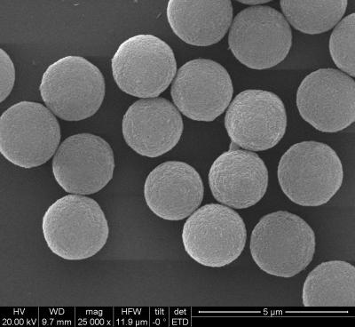 Cina Perle carbossiliche del polimero per l'immunodiagnosi 300nm 10 mg/ml 50 ml in vendita