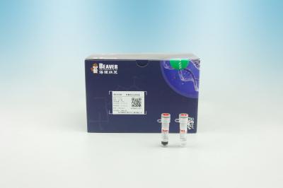 China 450 DNA-van de de Bibliotheekml Bouw Kit For Next Generation Sequencing van DNA van Isolatiekit reagents Te koop