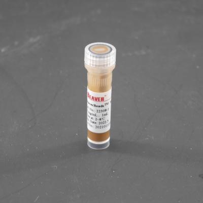 China gotas magnéticas de 300nm Streptavidin para la célula que clasifica captura de la punta de prueba 10 mg/ml 1 ml en venta