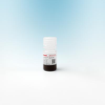 China Gotas magnéticas de la silicona del mag OH para la extracción 500nm de la DNA 10 mg/ml 5 ml en venta