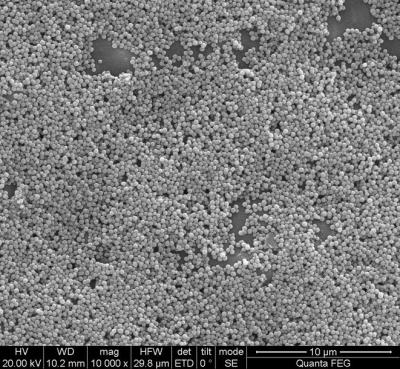 China 100 gotas magnéticas de la silicona del ml para la extracción de la DNA con magnetismo fuerte estupendo en venta