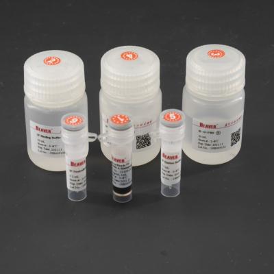 China 10 mg/ml gotas magnéticas para la inmunoprecipitación para la captura de la blanco en venta