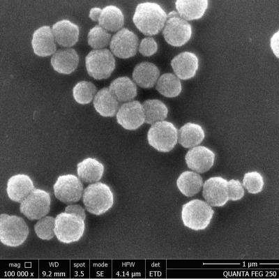 China Gotas magnéticas 500nm de la silicona fuerte estupenda del magnetismo 10 mg/ml 50 ml en venta