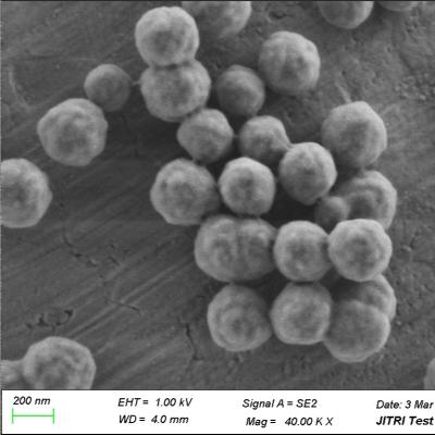 China Gotas magnéticas de la silicona magnetita para la PC 300nm de la extracción del ARN 50 mg/ml 10 ml en venta