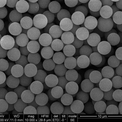 China 2.8μm Streptavidin kapselten magnetische Perlen für die Zelle ein, die 10 mg/ml 10 ml sortiert zu verkaufen