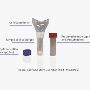 China Saliva Sample Collection Kits For Collecting Saliva Samples 10mL Collection Tube for sale