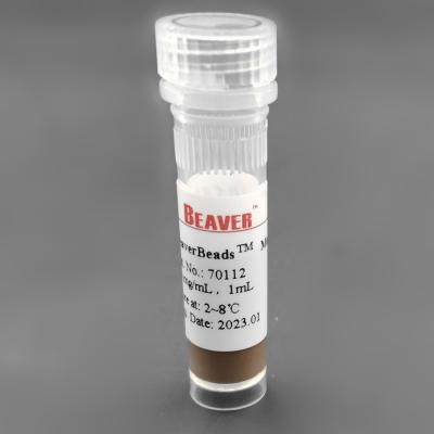 중국 300nm 50 마그네슘 / mL 1 mL 실리카는 RNA 추출 SC를 위한 자석 비즈를 요약했습니다 판매용