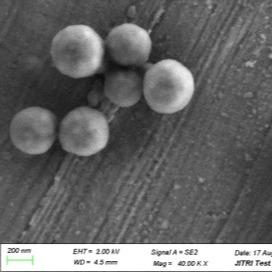 China gotas magnéticas de la silicona de 50 ml 500nm para la extracción de la DNA en diversos sistemas del almacenador intermediario en venta