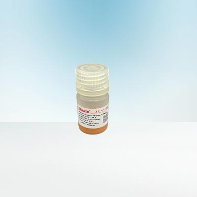 China Protein-Reinigungs-Agarose Karboxyl- Magbeads 10 - 30 μM 20% Volumen-Verhältnis zu verkaufen