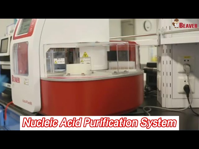 High Throughput Automatic Nucleic Acid Purification System 96 Channel For DNA / RNA