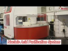 High Throughput Automatic Nucleic Acid Purification System 96 Channel For DNA / RNA