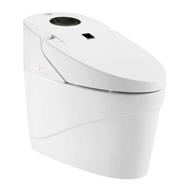 China Automatic Operation Remote Powered Integrated Electric Smart Toilet ZJS-04 for sale