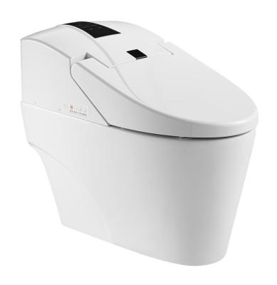 China Automatic Operation Remote Operated Hot Water Cleaning Electric Bidet Toilet ZJS-05 for sale