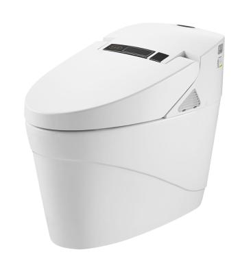 China Automatic Operation Electric Japanese Stand-Mounted Family Automatic Toilet ZJS-03 for sale