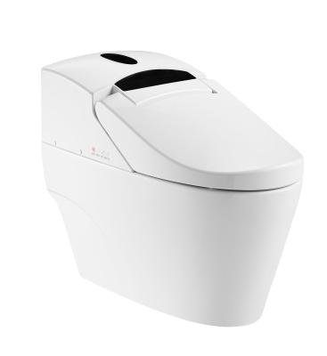 China Auto Operation Automatic Flush Electronic All-in-one Toilet ZJS-02 for sale