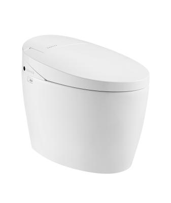 China Eco-friendly Auto Operation Tankless Automatic Self-cleaning Electric Toilet ZJZ010J for sale