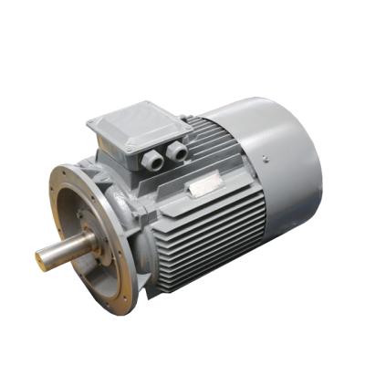 China Waterproof Cast Iron Frame Three Phase AC Electric Induction Motor for sale