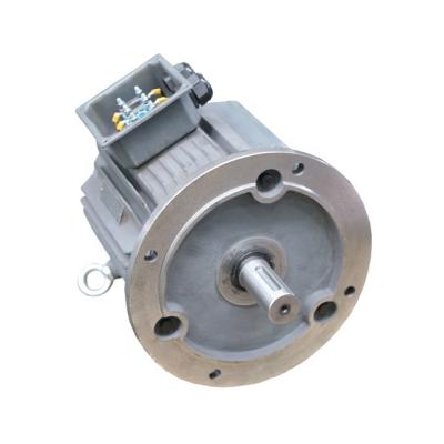 China Yard Series Waterproof Three-phrase Asynchronous Electric Motor for sale