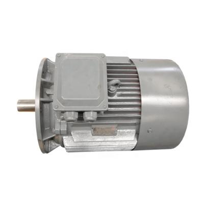 China YEJ series magnetic brake waterproof motor with rear axle for sale