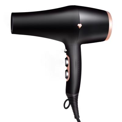 China Salon Dryer Watt Foldable Professional Ionic Blow Ceramic Dry Hair Dryer Styler for sale