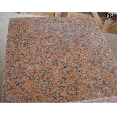 China Modern Good Quality Chinese Maple Red Granite G562 Indoor Tile Slab, Kerbstone, Paver Granite Flamed Polished Finished for sale