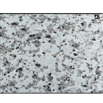 China Arabescato Modern Granite Chinese G439 White Granite Slabs And Tiles Gray Granite for sale