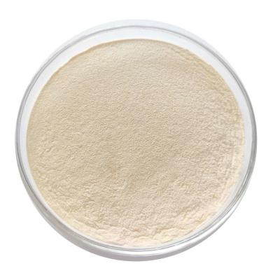 China OEM and  Factory Direct Feed Grade Poultry Nutrition Complex Enzyme Powder for sale