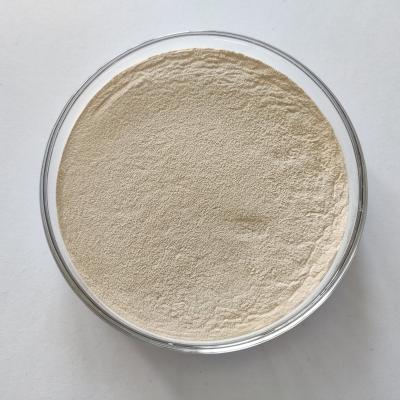 China Animal Feed Compound Enzymes NSPase For Livestock And Poultry Nutrition for sale