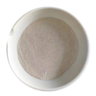 China White To Straw Yellow Food Grade Lipase Enzyme For Bakery ISO9001 for sale