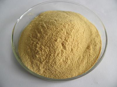 China Habio 10000U Beta Glucanase Enzyme Benefits For Juice Brewing for sale