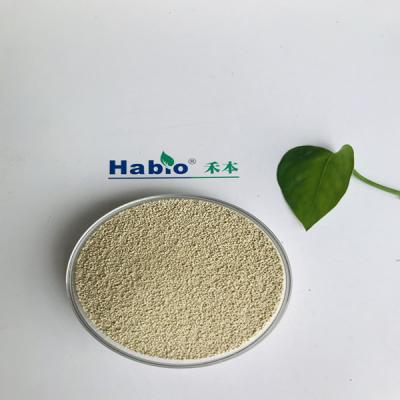 China 200000U/G Lipase Powder High Thermostability For Food Feed Industry for sale