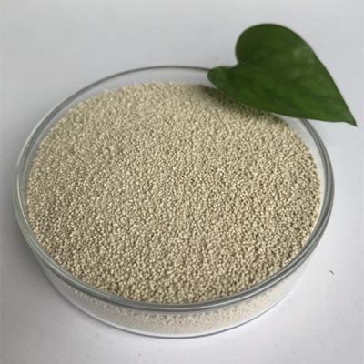 China 2000U Nutritional Animal Lipase Enzyme Granule For Livestock Healthcare for sale