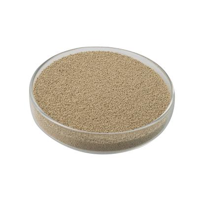 China Acid Protease Granule for sale