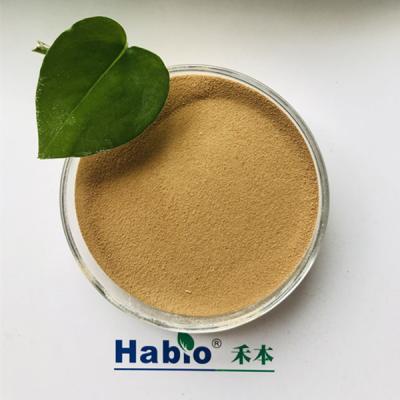 China Habio Alkaline Protease 25kg/Bag High Activity For Leather Industry for sale