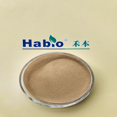 Chine Additif d'alimentation des animaux de poudre d'enzymes de Brown Keratinase pour la capacité digestive à vendre