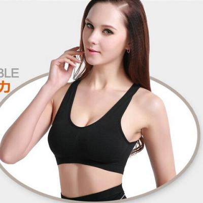 China Gym Seamless Lady Sports Bra Push Up Breast Round Shaper Anti-Bacterial for sale