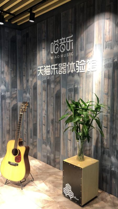 Verified China supplier - Nanjing Gimi Musical Instrument Co., Ltd.