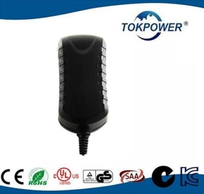 China 24W cambió el adaptador 2000maH 50HZ - 60HZ del cargador del relámpago de la fuente de alimentación 12V en venta