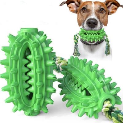 China Multi-Function Viable String Pet Amazon Hot Dog Molar Chew Stick Toy Rubber Cactus Molar Toothbrush Molar Dog Toys for sale