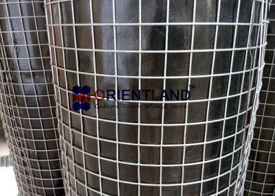 China Durable Welded Steel Wire Mesh 1