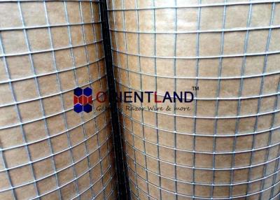 China Construction Wire Mesh Rolls  1/2 Inch × 1/2inch Welded Metal Mesh Acid Resistance for sale