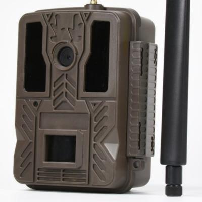 China 2021 New Arrival 36MP 4G LTE Cellular Wireless System Game Trail Hunting Camera With 94Onm Black LED Flash Wild Camera With APP Remote Control for sale